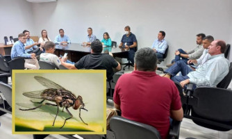 Perícia apura causas da proliferação de mosca-dos-estábulos em Mirassol D´Oeste