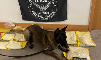 Cão do Bope encontra mais de 10 quilos de pasta base enrolados em passageiros no Aeroporto Marechal Rondon