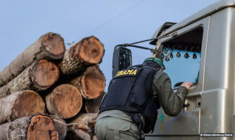 Servidores do Ibama prometem suspender fiscalização ambiental