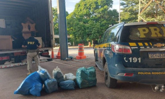 PRF apreende 50kg de Maconha em caminhão de mudança em Cáceres - MT; droga saiu de Pontes e Lacerda