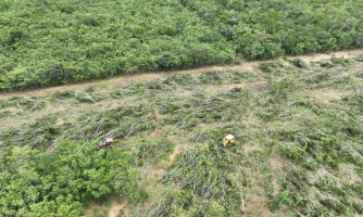 Sema e PM flagram desmatamento ilegal com apoio de drones e tecnologia de geoprocessamento