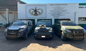 Gefron e PM apreendem 10 quilos de skunk em táxi e prendem três pessoas