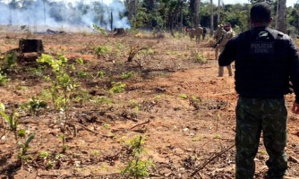 Polícia Civil já prendeu 16 pessoas por fazerem queimadas em florestas em MT