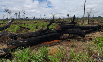 Forças de segurança fiscalizam fazendas no noroeste de MT e aplicam cerca de R$ 24,2 milhões em multas