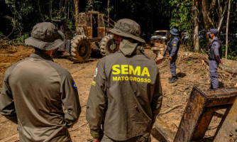 Sema embargou área equivalente a 300 mil campos de futebol em MT