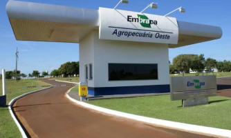 MT tem mais de 40 vagas para concurso da Embrapa; inscrições começam nesta segunda-feira