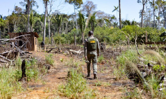 Sema deflagra 298 operações e aplica R$ 1,6 bilhão em multas contra crimes ambientais em 2024