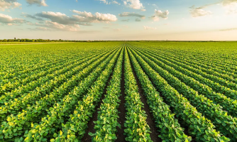 Mato Grosso deve registrar 2º maior PIB do país com destaque para agropecuária, aponta Banco do Brasil