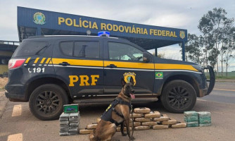 PRF encontra mais de 46 kg de drogas escondidas sob cama de caminhão na BR-364
