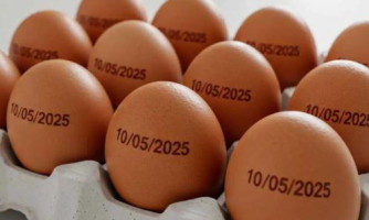 Agricultura suspende determinação de carimbar data de validade em ovos