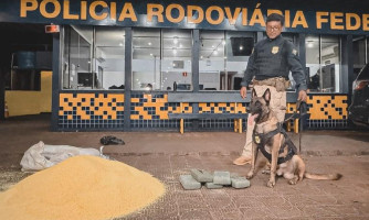 PRF apreende skunk em encomenda de farinha em MT