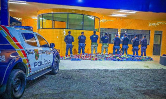 Ação integrada da PM e PRF apreende 244 tabletes de drogas e causa prejuízo de R$ 6 milhões às facções