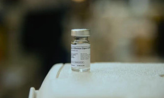 Vacinas mais modernas podem prevenir nova pandemia