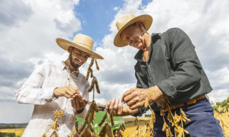 Plano Safra 2025/2026: Associados do Sicredi terão R$ 68 bilhões em recursos nesta temporada