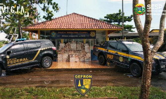Ação conjunta resulta na apreensão de 870 kg de cocaína e prisão de suspeito