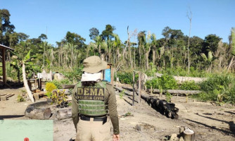 Ação integrada cumpre 10 mandados para combater crimes contra fauna no Pantanal Mato-Grossense