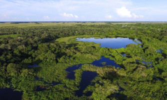 Ações de compensação ambiental somam mais de R$ 319 milhões
