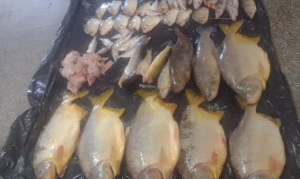 Batalhão Ambiental e agentes da Sema apreendem pescado irregular com sinais de rede e carne de jacaré