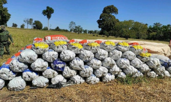 Batalhão Ambiental fecha carvoaria ilegal e apreende três toneladas de carvão em MT