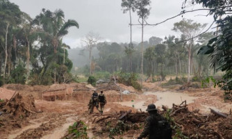 Cacique da TI Cinta Larga e servidor da Funai são presos em operação da PF