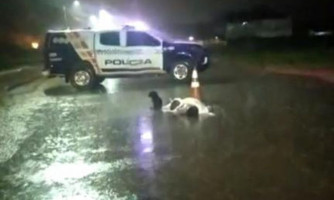 Cães ficam ao lado do corpo do dono que morreu atropelado durante temporal em MT