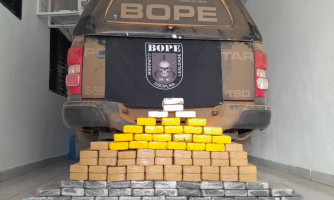Câmeras do Programa Vigia Mais MT ajudam na apreensão de droga avaliada em R$ 2,7 milhões