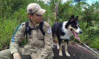 Cão Luke viaja para Petrópolis com bombeiros de MT para ajudar nas buscas por desaparecidos