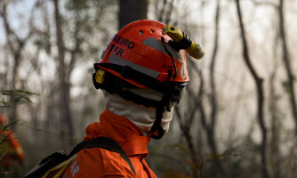 Corpo de Bombeiros de MT segue combatendo incêndio no lado de Cáceres do Pantanal nesta terça-feira (02)