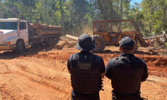 Delegacia de Meio Ambiente fecha ano com 35 operações de combate a diferentes crimes ambientais em MT