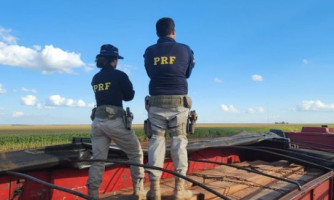 Em Sorriso-MT, PRF apreende 23,75m³ de madeira transportada ilegalmente