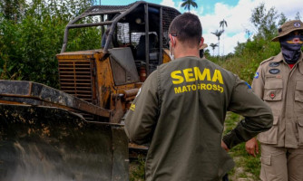 Estado aplicou mais de R$ 400 milhões em multas por infrações ambientais em 2021