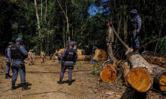 Estado já aplicou R$ 620 milhões em multas ambientais e endurece medidas contra infratores