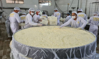 Festa em Curvelândia deverá ter queijo gigante de 2 toneladas