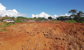 Fiscais do Indea fazem abate de gado boliviano sem procedência sanitária; 68 cabeças foram mortos