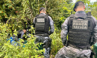 Forças de segurança apreendem 1,5 tonelada de cocaína e causam R$ 100 milhões de prejuízo às facções