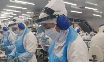 Frigorífico abre 225 vagas de trabalho em Lucas do Rio Verde (MT)