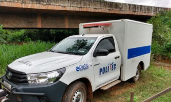 Funcionário de fazenda morre atacado por abelhas em MT