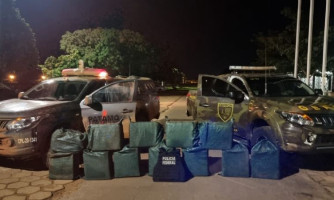 Gefron de MT, Polícia Federal e PM de Rondônia apreendem quase 400 kg de cocaína