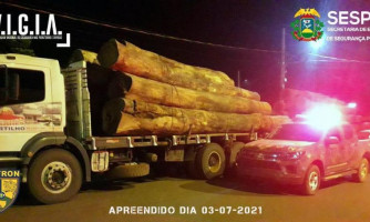 Gefron recupera veículos roubados e apreende madeira ilegal na faixa de fronteira em Pontes e Lacerda