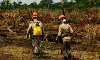 Governo de Mato Grosso lança Operação Abafa Amazônia 2022 nesta terça-feira (4)