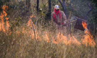 Governo de Mato Grosso lança Operação Abafa Amazônia contra crimes ambientais
