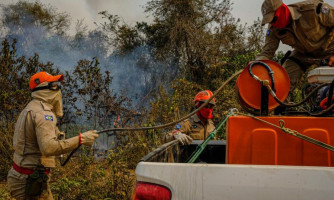 Governo de MT investe R$ 73 milhões em combate aos incêndios florestais e antecipa período proibitivo do fogo