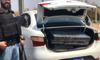 Justiça manda soltar dupla presa com 300kg de maconha em Mato Grosso e cita descriminalização