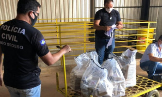 Mais 102 quilos de entorpecentes são incinerados pela Polícia Civil em Sapezal