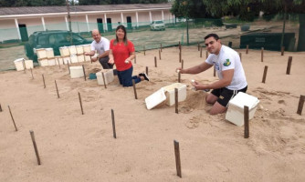 Mais de 200 mil tartarugas já foram soltas no Araguaia pelo projeto 