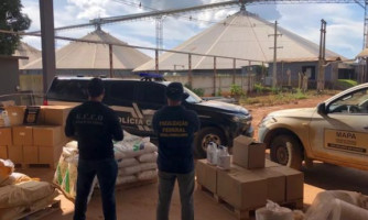 Mais de 500 kg de agrotóxicos vencidos e contrabandeados são apreendidos em armazém em MT