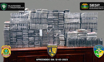 Mais de R$ 10 milhões em drogas foram retiradas de circulação durante operação conjunta