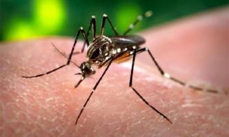 Mais uma morte por dengue é confirmada; já são 19 em Mato Grosso