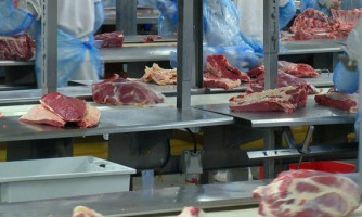 Marfrig oferece 50 vagas de emprego na unidade de Pontes e Lacerda, no Mato Grosso