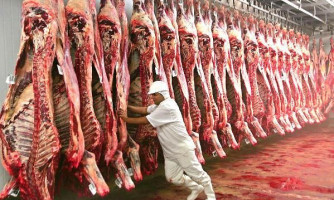 Ministério da Agricultura determina suspensão de produção de carne bovina para China